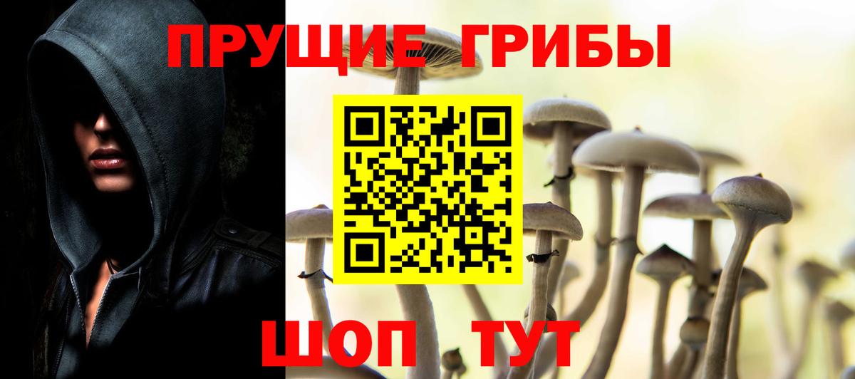 Архангельск  Галлюциногенные грибы Magic Shrooms  Вход с VPN  Галлюциногенные грибы прущие грибы 